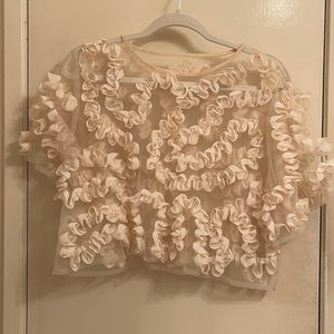 Zara sheer ruffle top